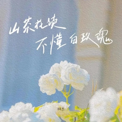 山茶花读不懂白玫瑰