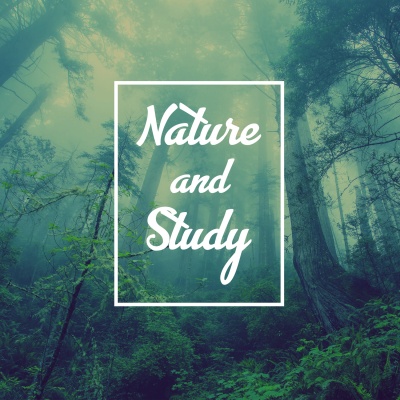 Nature and Study – Music for Learning, Nature Sounds, Bird Singing, Sea Melodies