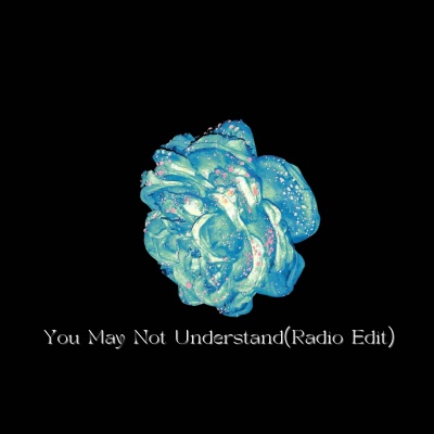 You May Not Understand(Radio Edit)