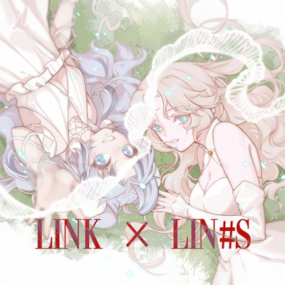 LINK x LIN#S