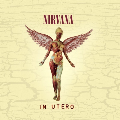 In Utero (出生以前)