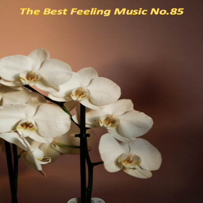 The Best Feeling Music No.85