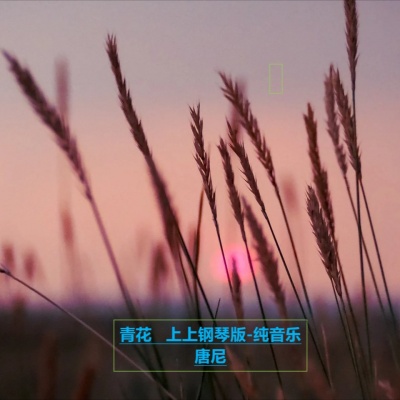 上上钢琴版-纯音乐  / 青花（恍恍惚惚 已经隔世）