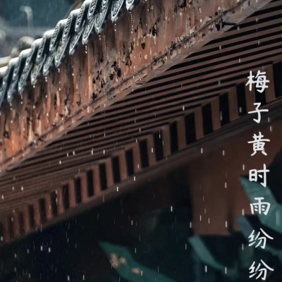 梅子黄时雨纷纷