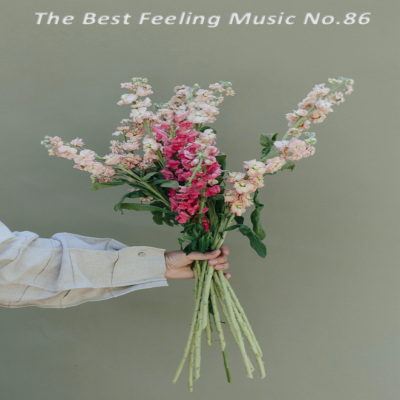 The Best Feeling Music No.86