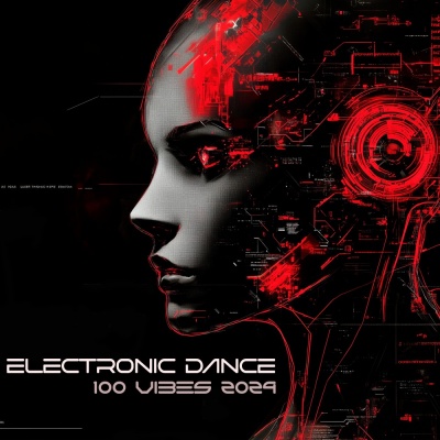 Electronic Dance 100 Vibes 2024