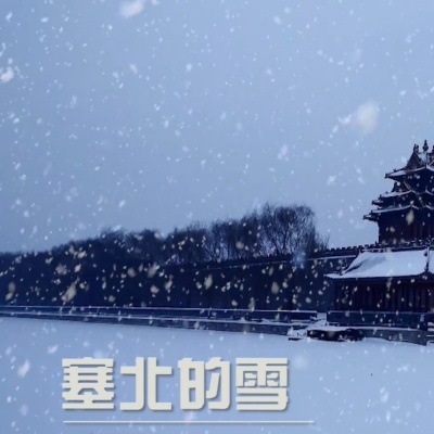 塞北的雪 (上)