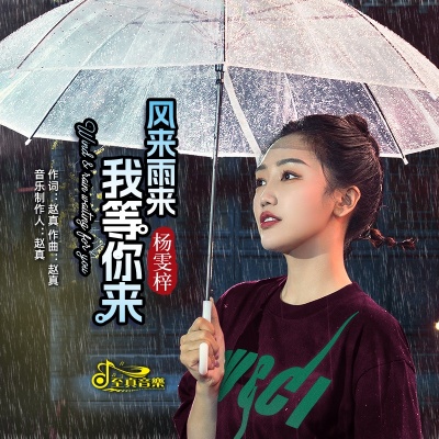 风来雨来我等你来