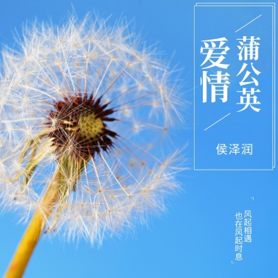 爱情蒲公英 (DJ范小松版)