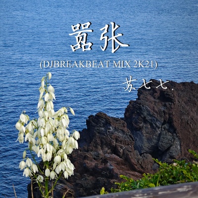 嚣张 (DjBreakbeat Mix 2k21)