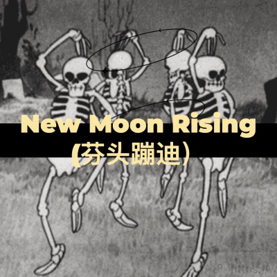 New Moon Rising(芬头蹦迪）