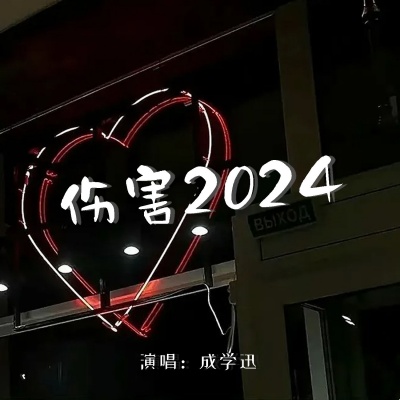 伤害2024 (DJ默涵版)