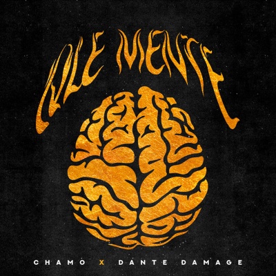 QLE MENTE (Explicit)