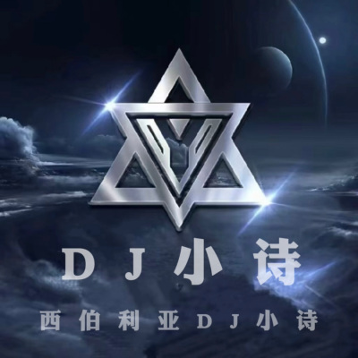 DJ小诗翻唱集