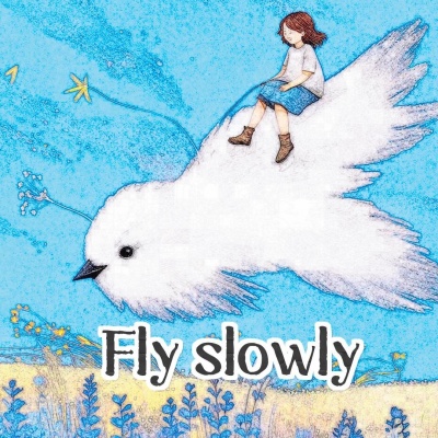 Fly slowly