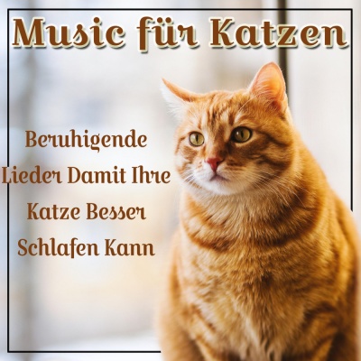 Music Für Katzen: Beruhigende Lieder Damit Ihre Katze Besser Schlafen Kann