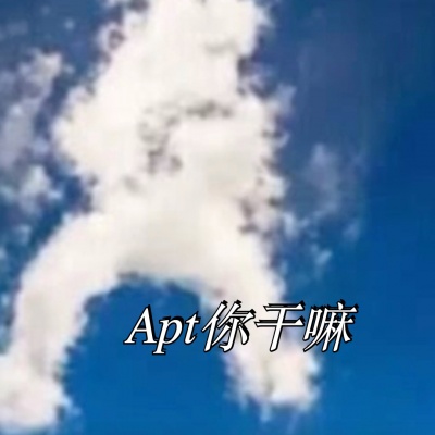 Apt你干嘛（ikun版）