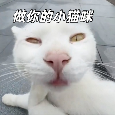 做你的小猫咪（彩铃版）