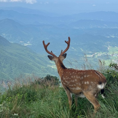 远山少年