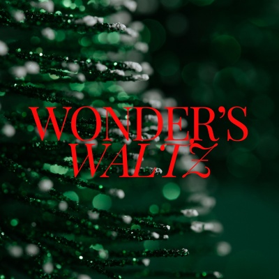 Wonder's Waltz: Christmas Piano