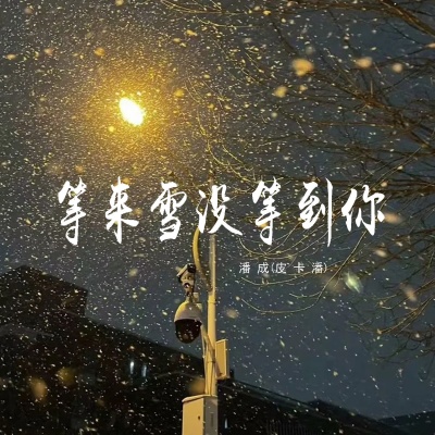 等来雪没等到你