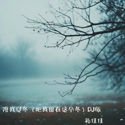 陪我过个冬 (古风dj版)