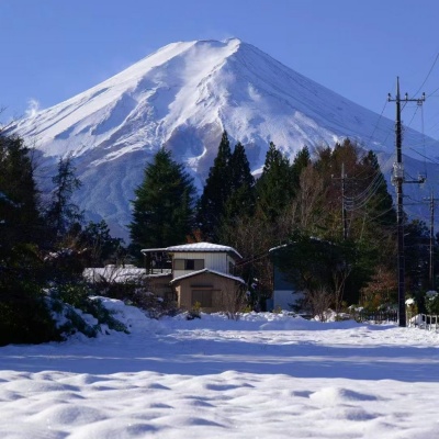 远山起风又起雾 (DJ版)