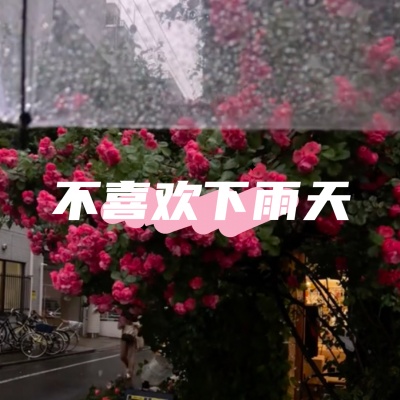 不喜欢下雨天