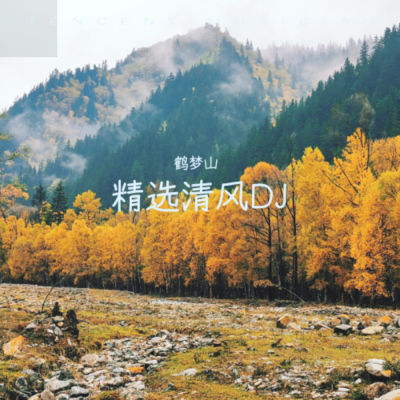 DJ.FLM - 青色山脈