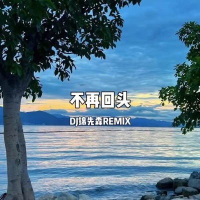 不再回头 (Remix)