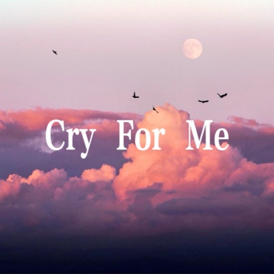 Cry For Me (Feat.爱海)