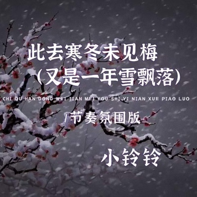 此去寒冬未见梅 (又是一年雪飘落)(DJ节奏氛围版)