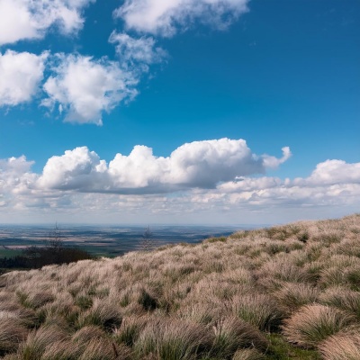 Relajación Suave: Paisajes Sonoros Armoniosos