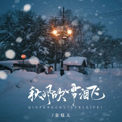 秋风吹雪泪飞 (DJBanan版)