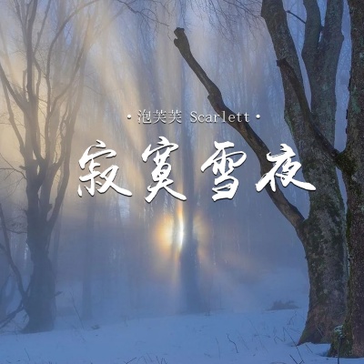 寂寞雪夜