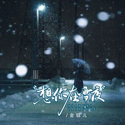 想你在雪夜