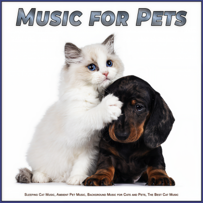 Music For Pets - Pet Relaxation Music