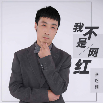 我不是网红 (DJ默涵版)