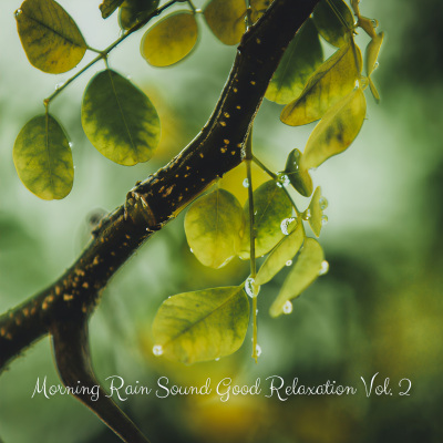 Morning Rain Sound Good Relaxation Vol. 2