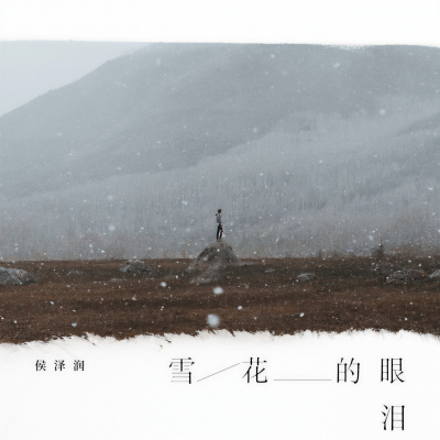 雪花的眼泪 (DJ九零版)