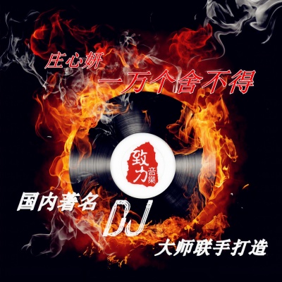 一万个舍不得 (DJ阿圣版)