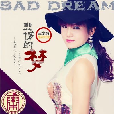 王小娟 - 想你的时光