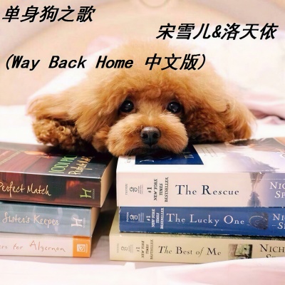 单身狗之歌 (Way Back Home中文版)