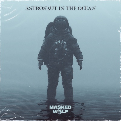 Astronaut In The Ocean