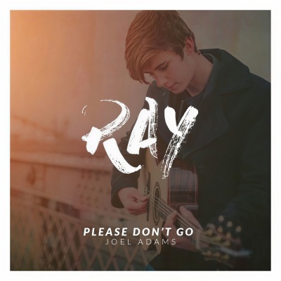 Please Don't Go (Ray Remix)