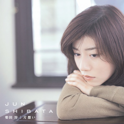 柴田淳 - 美しい人