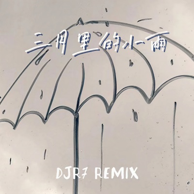 三月里的小雨 (DJ R7版)