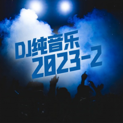 DJ纯音乐2023-2