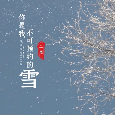 你是我不可预约的雪