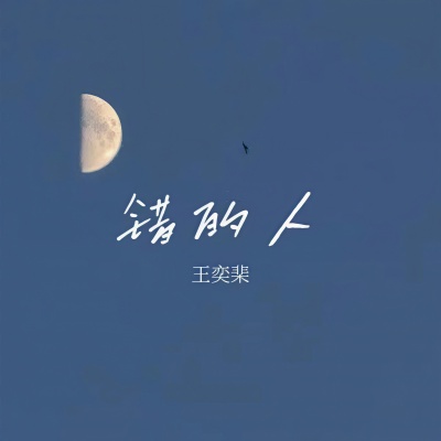 错的人 (1.2x氛围版)